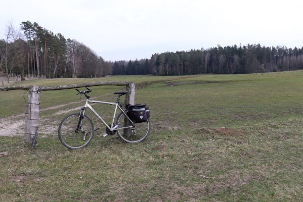 Býšť, Bělečko, 17.3.2020
Pastvina pod rančem.
Klíčová slova: Býšť Bělečko pastvina
