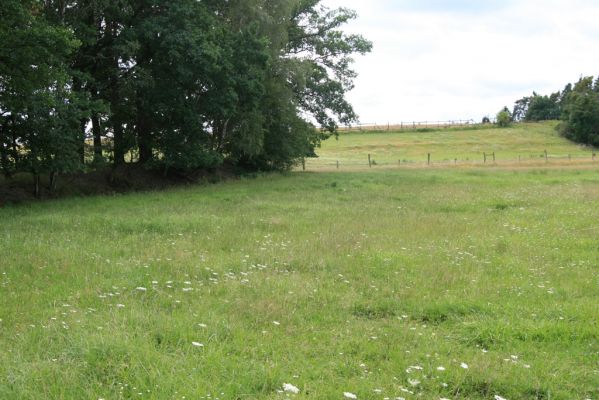 Býšť, Bělečko, 20.7.2016
Okraj louky poblíž Lesního potoka - biotop tesaříka Brachyleptura tesserula.


Klíčová slova: Býšť, Bělečko Brachyleptura tesserula