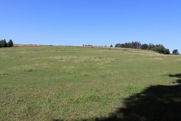 Býšť, 30.6.2019
Bělečko, dolní pastvina.
Klíčová slova: Býšť Bělečko ranč dolní pastvina