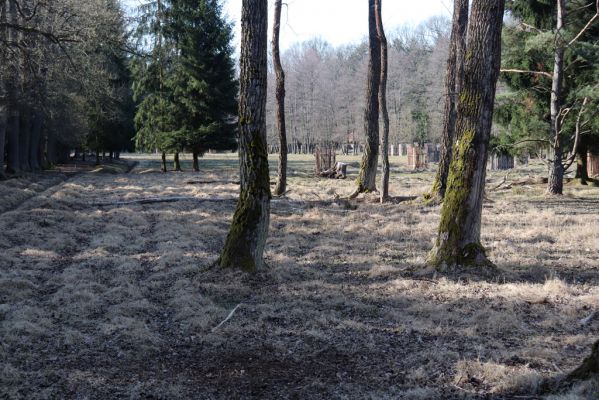 Býšť, 5.4.2020
Bělečko, obora Požáry.
Klíčová slova: Býšť Bělečko obora Požáry