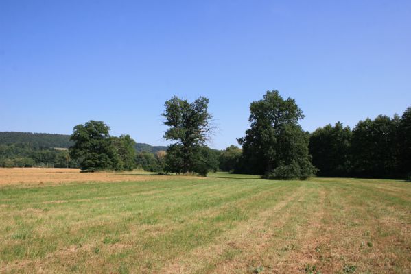 Běstvina, 23.8.2012
Duby u Hluboše.



Klíčová slova: Běstvina Hluboš