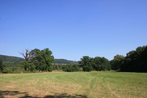 Běstvina, 23.8.2012
Duby u Hluboše.


Klíčová slova: Běstvina Hluboš