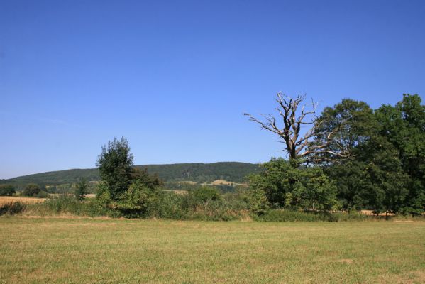 Běstvina, 23.8.2012
Duby u Hluboše.



Klíčová slova: Běstvina Hluboš