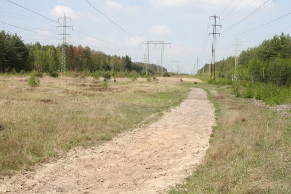 Bezděkov, 6.5.2017
Písčitá cesta pod eletrovody.
Klíčová slova: Bezděkov elektrovody