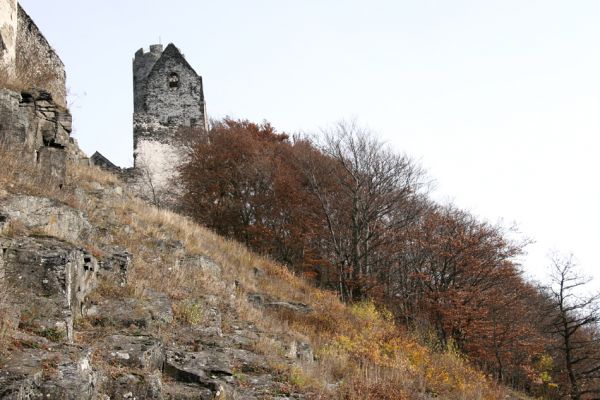 Bezděz, 19.10.2008
Hrad Bezděz. Svah porostlý kavylem.
Klíčová slova: Bezděz hrad Velký Bezděz