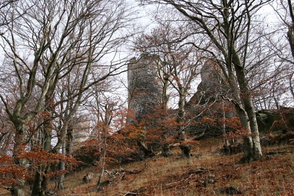 Bezděz, 19.10.2008
Velký Bezděz, suťový les na západním svahu. Pohled na hrad Bezděz.



Klíčová slova: Bezděz hrad Velký Bezděz