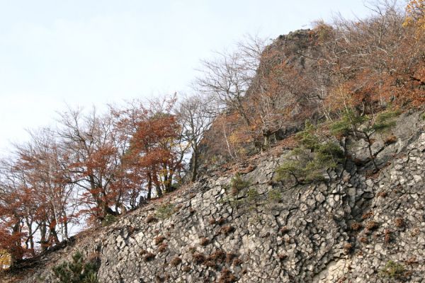 Bezděz, 19.10.20
Malý Bezděz - starý lom.
Klíčová slova: Malý Bezděz lom