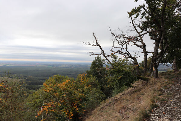 Bezděz, 6.10.2022
Malý Bezděz, pod vrcholem.
Klíčová slova: Bezděz Malý Bezděz