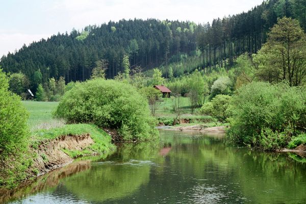 Klopoty, Tichá Orlice, 11.5.2005
Štěrkové a písčité náplavy v meandru Tiché Orlice.
Schlüsselwörter: Klopoty Tichá Orlice Negastrius pulchellus Zorochros dermestoides