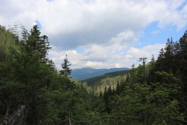 Špindlerův Mlýn, 27.6.2021
Krkonoše, údolí Bílého Labe pod Kozími hřbety. Pohled na Vysoké kolo.
Mots-clés: Krkonoše Špindlerův Mlýn údolí Bílého Labe Kozí hřbety Vysoké kolo