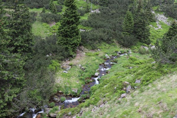 Špindlerův Mlýn, 27.6.2021
Krkonoše, Bílé Labe pod Stříbrným návrším.
Schlüsselwörter: Krkonoše Špindlerův Mlýn údolí Bílého Labe Stříbrné návrší Bílé Labe