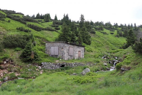 Špindlerův Mlýn, 27.6.2021
Krkonoše, údolí Bílého Labe pod Stříbrným návrším.
Mots-clés: Krkonoše Špindlerův Mlýn údolí Bílého Labe Stříbrné návrší