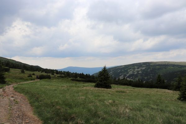 Špindlerův Mlýn, 27.6.2021
Krkonoše, Weberova cesta u Luční Boudy.
Keywords: Krkonoše Špindlerův Mlýn Weberova cesta Luční Bouda