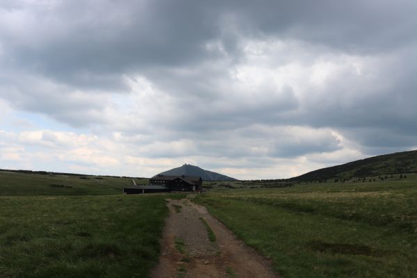 Pec pod Sněžkou, 27.6.2021
Krkonoše, Weberova cesta. Pohled na Luční Boudu a Sněžku.
Klíčová slova: Krkonoše Pec pod Sněžkou Luční Bouda Sněžka
