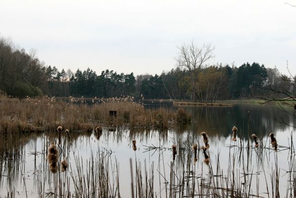 Nový Hradec Králové, rybník Biřička, 10.4.2008
Rybník na stejnojmenném potoce, využívaný pro letní rekreaci obyvatel města.
Mots-clés: Hradec Králové rybník Byřička