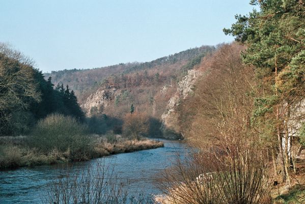 Biskoupky, 1.12.2006
Údolí Jihlavy. Pustý mlýn.

Schlüsselwörter: Biskoupky údolí Jihlavy Pustý mlýn