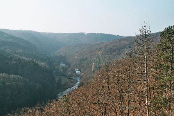 Biskoupky, 1.12.2006
Údolí Jihlavy. Pustý mlýn.

Schlüsselwörter: Biskoupky údolí Jihlavy Pustý mlýn