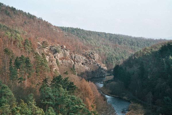 Biskoupky, 1.12.2006
Údolí Jihlavy. Pustý mlýn.

Klíčová slova: Biskoupky údolí Jihlavy Pustý mlýn