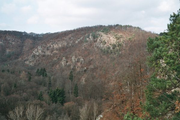 Biskoupky, 1.12.2006
Údolí Jihlavy. Pohled z jihu na Velkou skálu.

Klíčová slova: Biskoupky údolí Jihlavy Velká skála