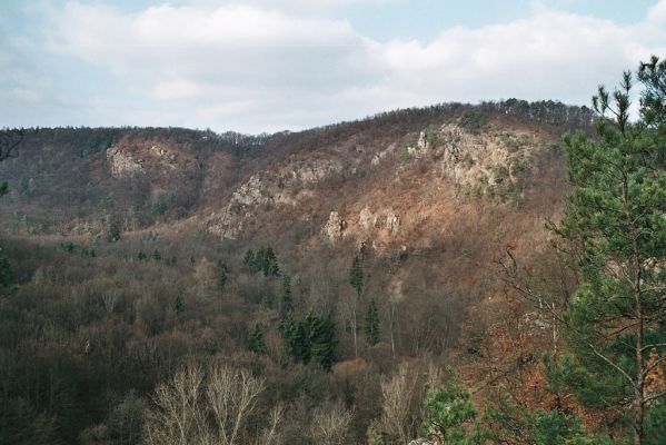 Biskoupky, 1.12.2006
Údolí Jihlavy. Pohled z jihu na Velkou skálu.
Schlüsselwörter: Biskoupky údolí Jihlavy Velká skála