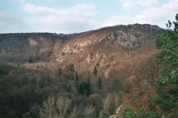 Biskoupky, 1.12.2006
Údolí Jihlavy. Pohled z jihu na Velkou skálu.

Klíčová slova: Biskoupky údolí Jihlavy Velká skála