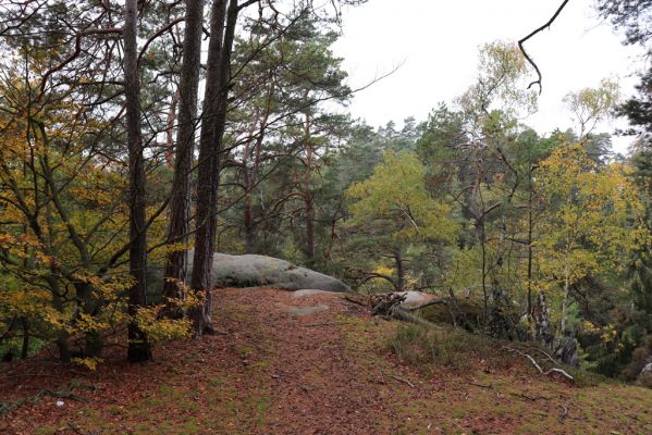 Zámostí-Blata, 21.10.2020
Blata, Starý hrádek.
Klíčová slova: Zámostí-Blata Blata Starý hrádek
