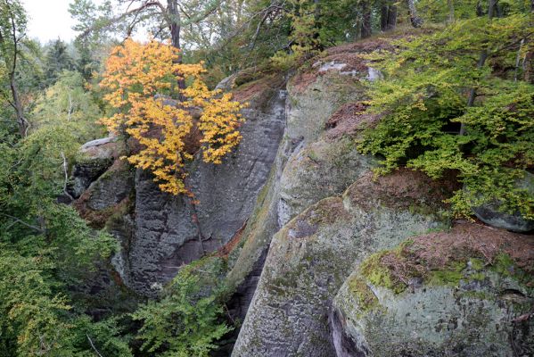 Zámostí-Blata, 21.10.2020
Blata, Starý hrádek.
Klíčová slova: Zámostí-Blata Blata Starý hrádek