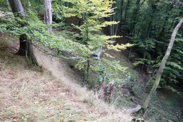 Zámostí-Blata, 21.10.2020
Blata, Starý hrádek.
Klíčová slova: Zámostí-Blata Blata Starý hrádek