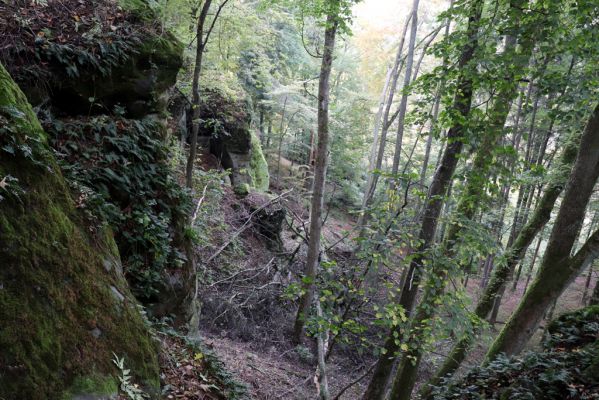 Zámostí-Blata, 21.10.2020
Blata, Starý hrádek.
Klíčová slova: Zámostí-Blata Blata Starý hrádek