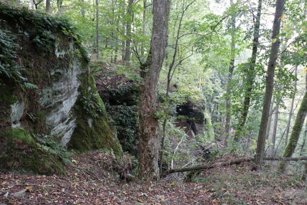 Zámostí-Blata, 21.10.2020
Blata, Starý hrádek.
Klíčová slova: Zámostí-Blata Blata Starý hrádek Calambus bipustulatus