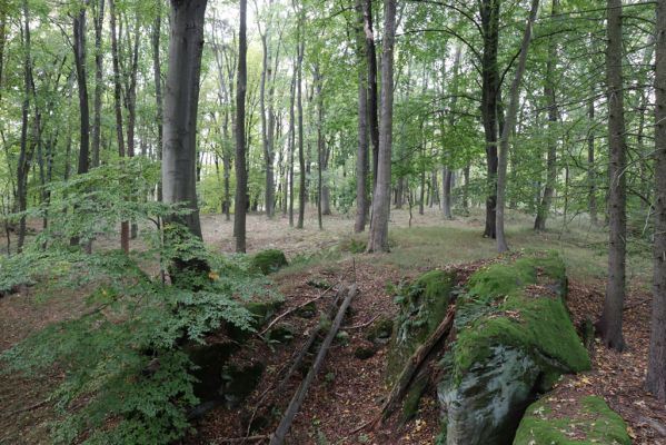 Zámostí-Blata, 21.10.2020
Blata, Starý hrádek.
Klíčová slova: Zámostí-Blata Blata Starý hrádek