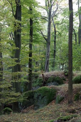 Zámostí-Blata, 21.10.2020
Blata, Starý hrádek.
Klíčová slova: Zámostí-Blata Blata Starý hrádek