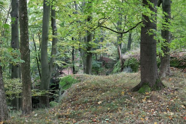 Zámostí-Blata, 21.10.2020
Blata, Starý hrádek.
Klíčová slova: Zámostí-Blata Blata Starý hrádek