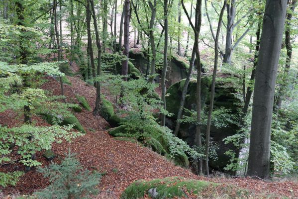 Zámostí-Blata, 21.10.2020
Blata, Starý hrádek.
Klíčová slova: Zámostí-Blata Blata Starý hrádek