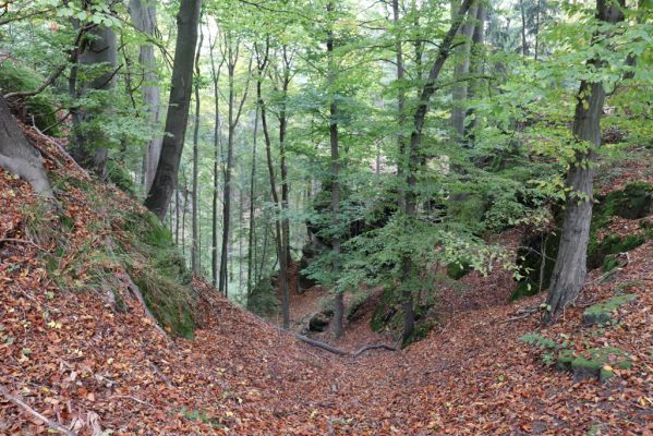 Zámostí-Blata, 21.10.2020
Blata, Starý hrádek.
Mots-clés: Zámostí-Blata Blata Starý hrádek