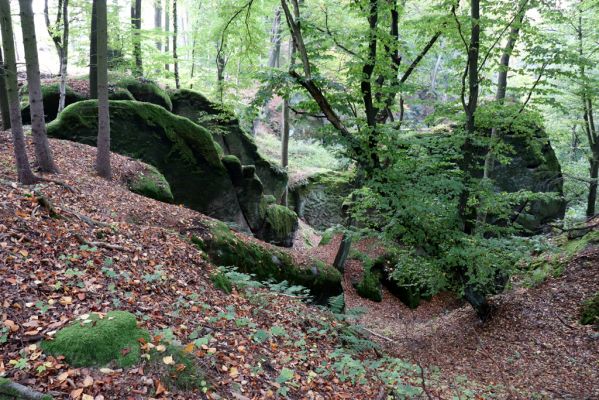 Zámostí-Blata, 21.10.2020
Blata, Starý hrádek.
Klíčová slova: Zámostí-Blata Blata Starý hrádek