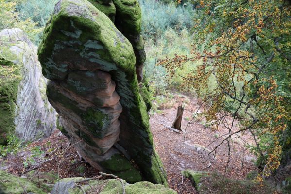 Zámostí-Blata, 21.10.2020
Blata, Nový hrádek.
Klíčová slova: Zámostí-Blata Blata Nový hrádek
