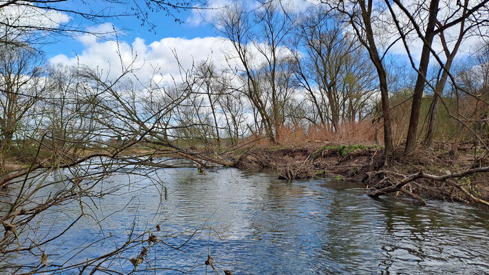 Blešno, 17.3.2024
Meandry Orlice.
Keywords: Blešno meandry Orlice