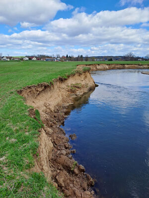 Blešno, 17.3.2024
Meandry Orlice.
Schlüsselwörter: Blešno meandry Orlice