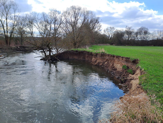 Blešno, 17.3.2024
Meandry Orlice.
Schlüsselwörter: Blešno meandry Orlice