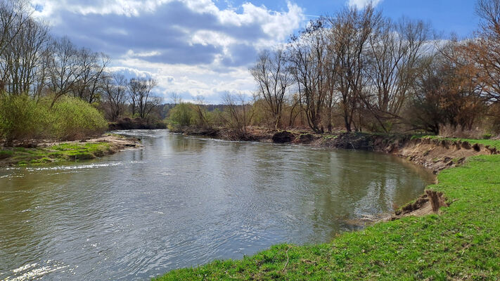 Blešno, 17.3.2024
Meandry Orlice.
Schlüsselwörter: Blešno meandry Orlice