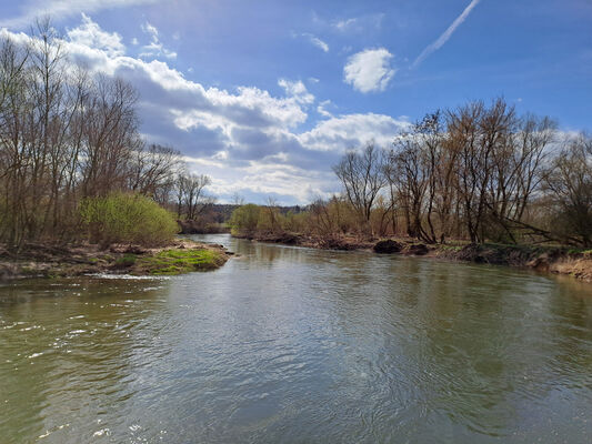 Blešno, 17.3.2024
Meandry Orlice.
Keywords: Blešno meandry Orlice