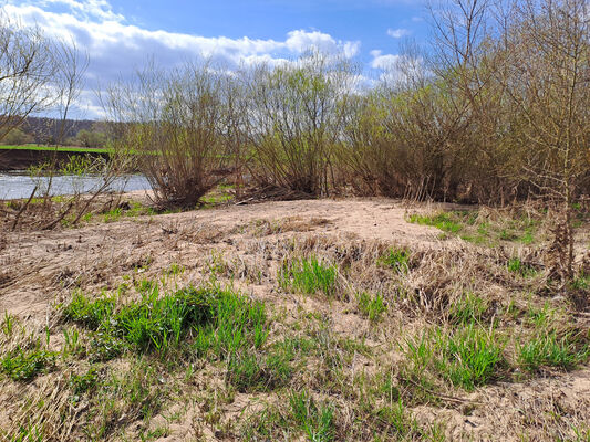 Blešno, 17.3.2024
Meandry Orlice.
Keywords: Blešno meandry Orlice