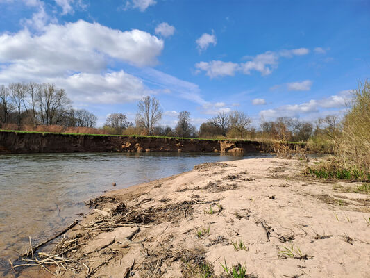 Blešno, 17.3.2024
Meandry Orlice.
Klíčová slova: Blešno meandry Orlice