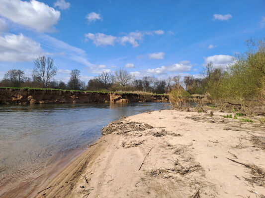 Blešno, 17.3.2024
Meandry Orlice.
Keywords: Blešno meandry Orlice