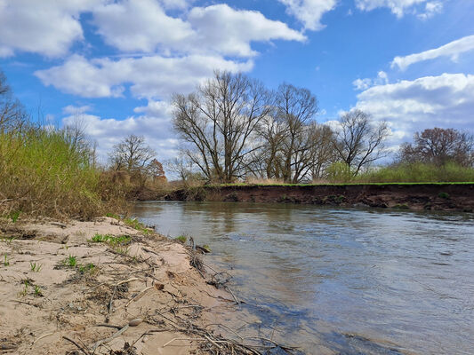 Blešno, 17.3.2024
Meandry Orlice.
Keywords: Blešno meandry Orlice