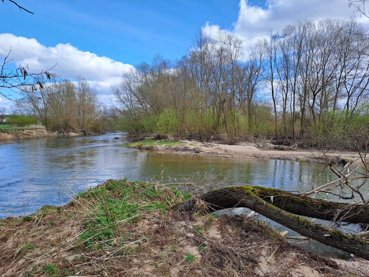 Blešno, 17.3.2024
Meandry Orlice.
Klíčová slova: Blešno meandry Orlice