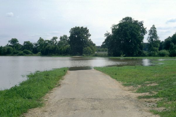 Blešno, 22.7.2001
Velká voda zaplavila luka u Blešna. Nad biotopem kovaříků Oedostethus quadripustulatus je až půl metru vody.
Schlüsselwörter: Dolní Poorličí Blešno Orlice Oedostethus quadripustulatus