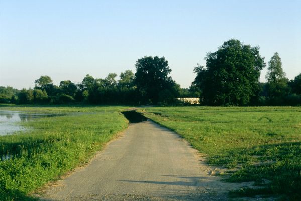 Blešno, 28.7.2001
Zaplavená luka u Blešna (22.7.2001) - 28.7.2001 voda ustupuje. Na uvolněných plochách opět začíná rojení kovaříků Oedostethus quadripustulatus.
Mots-clés: Dolní Poorličí Blešno Orlice Oedostethus quadripustulatus