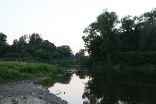 Starý Bohumín, 1.8.2017
Meandry Odry. 
Keywords: Starý Bohumín řeka Odra